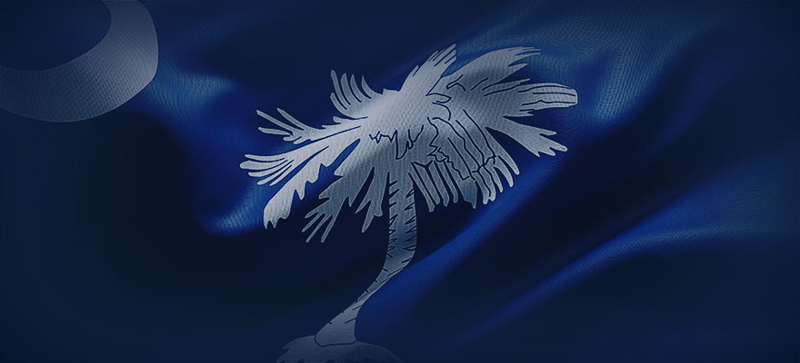 South Carolina state flag