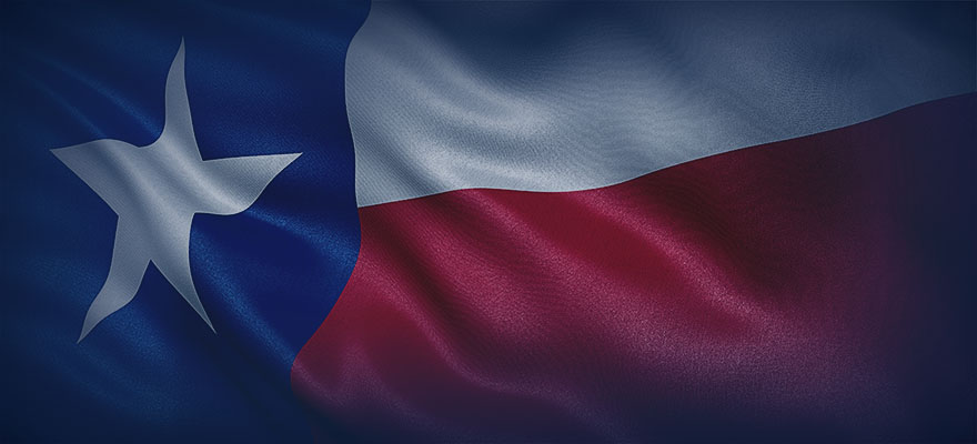 Texas State Flag